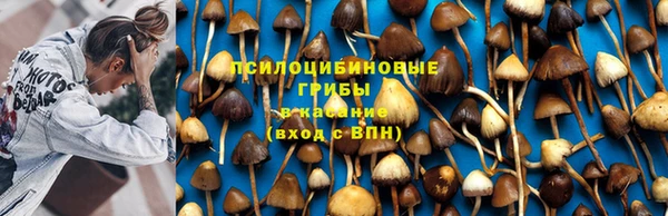 ГАЛЛЮЦИНОГЕННЫЕ ГРИБЫ Алексеевка
