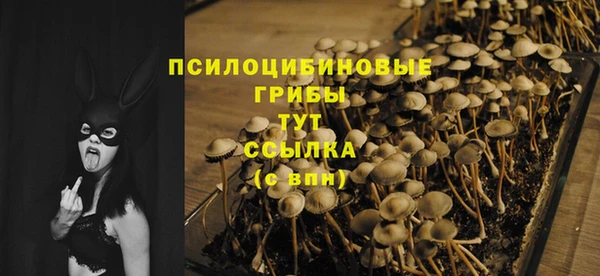 скорость Алексин