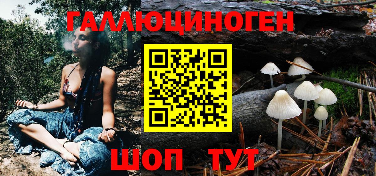 Галлюциногенные грибы Psilocybine cubensis  Вход с VPN  Алексеевка 