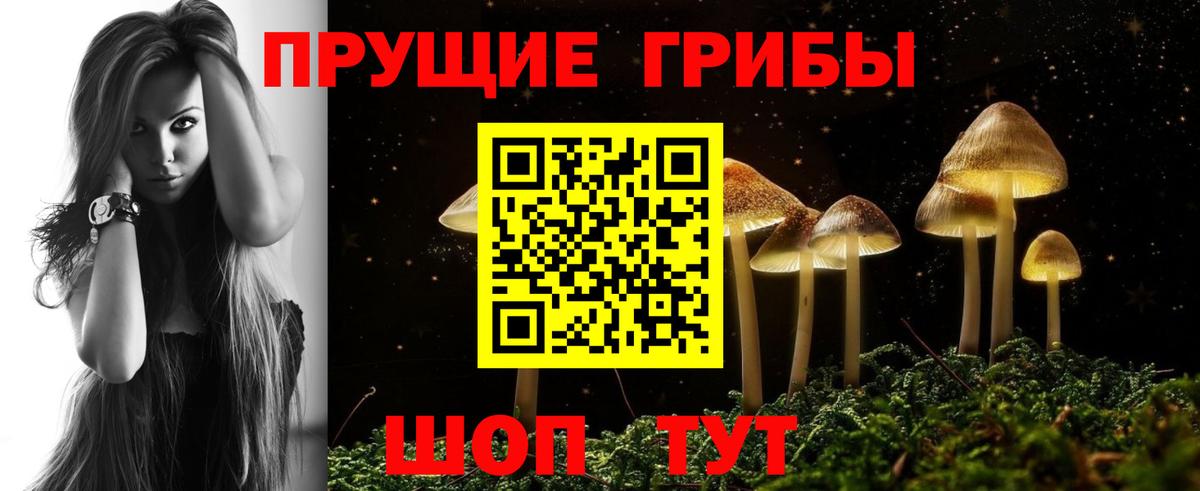 Псилоцибиновые грибы прущие грибы Алексеевка